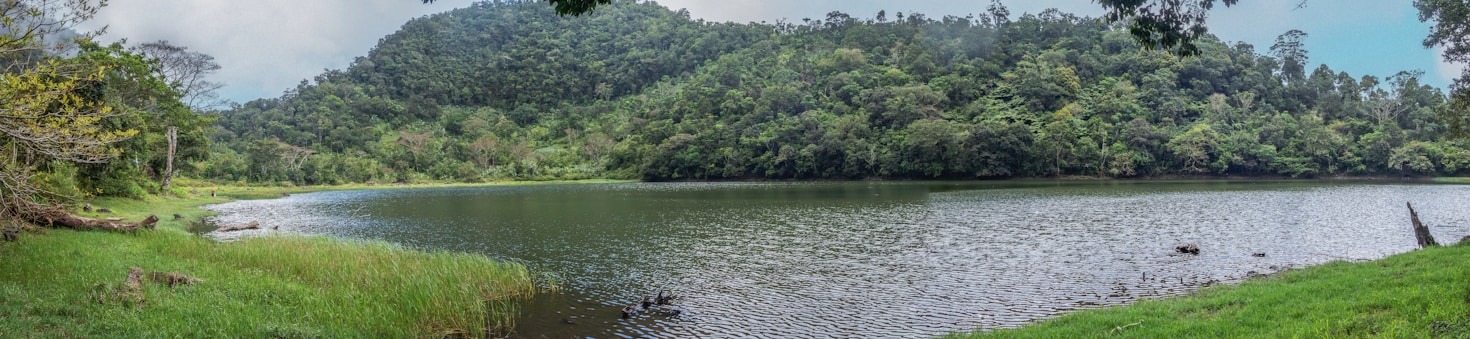 The Future of Work: Remote and Relaxed